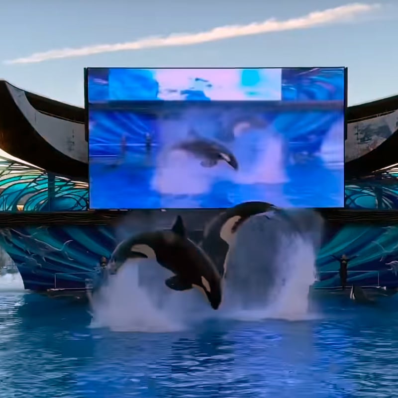 SeaWorld's orca encounter score composed and produced by Dan Rudin